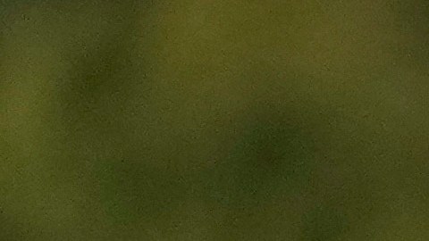 Los agentes pidieron el apoyo del INM para su traslado, su resguardo y ser valorados con el objetivo de determinar su estado de salud.