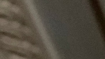 Gaetz señaló que ha formado parte del personal del siguiente gobierno de Trump.