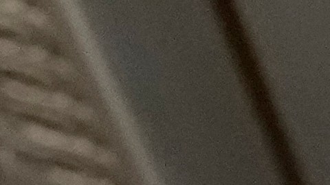 Gaetz señaló que ha formado parte del personal del siguiente gobierno de Trump.