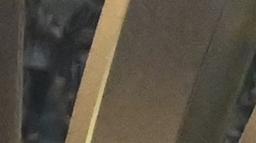 Trofeo de la Copa Libertadores fue renovado por Conmebol