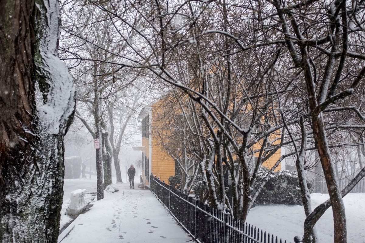 Norte de Nueva York se prepara para nevadas por efecto lago: ¿cuándo sucederán y cómo afectará?