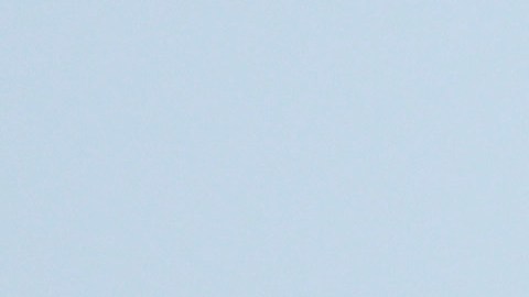 Se espera un bajo tráfico aéreo durante el día festivo.