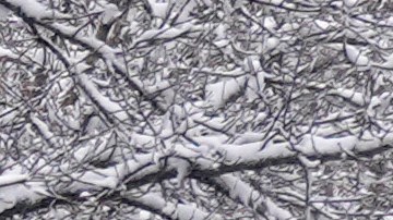 Vermont, Maine, New Hampshire y Nueva York se preparan para alertas.