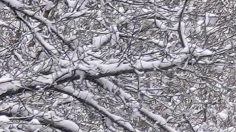 Vermont, Maine, New Hampshire y Nueva York se preparan para alertas.