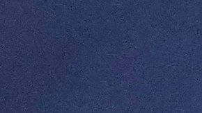 Asamblea Parlamentaria de la OTAN se vuelca a favor de Ucrania