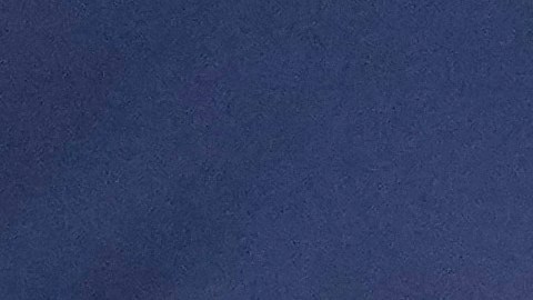 Asamblea Parlamentaria de la OTAN se vuelca a favor de Ucrania