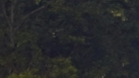 Nuevo autobús del Real Madrid sufre accidente vial en su regreso de Liverpool