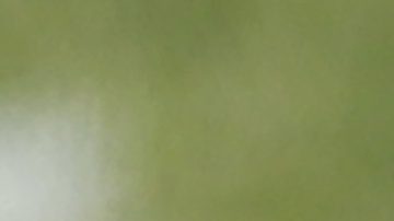 New York Jets despiden a Joe Douglas tras pésimo inicio de temporada de NFL