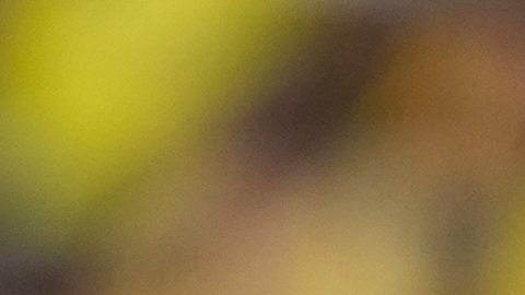 Argentina perdió a varios jugadores claves para los duelos de Eliminatorias
