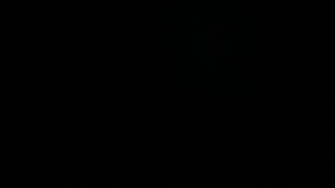 Aaron Judge es el jardinero central de los Yankees.