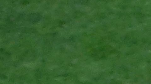 El venezolano Andrés Giménez ganó su tercer guante de oro de manera consecutiva.