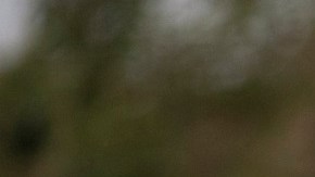 Trump prometió un plan de deportaciones masivas.