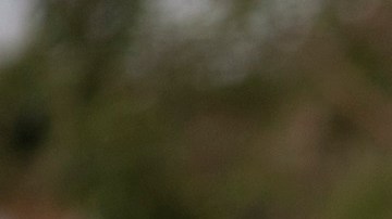 Trump prometió un plan de deportaciones masivas.