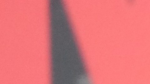 Madre de Jake Paul confiesa el miedo de que su hijo enfrente a Mike Tyson