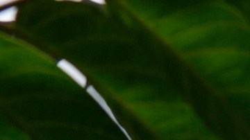 Una muchedumbre de personas que se habían reunido para presenciar el incidente en el Brooklyn Bridge Park.