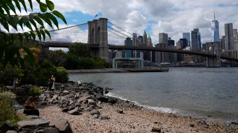 Una muchedumbre de personas que se habían reunido para presenciar el incidente en el Brooklyn Bridge Park.