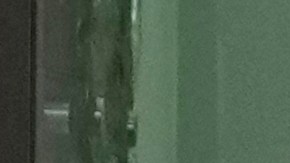 Votación temprana en Arizona