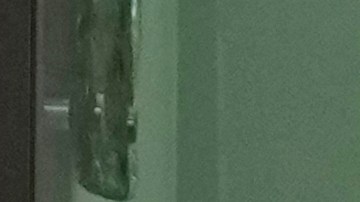 Votación temprana en Arizona