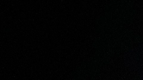 Novak Djokovic fue el encargado de ingresar el trofeo de la Copa Libertadores al campo de juego