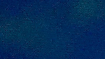 Harris se dirigirá al país durante esta tarde.