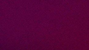 Trump vaticinó un buen futuro para el país.