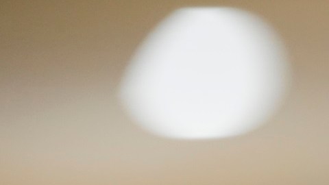 Trump logró más votos de latinos que en 2020.