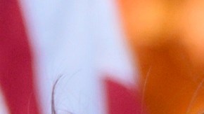 Kamala Harris y Donald Trump tienen visiones muy distintas sobre medio ambiente.