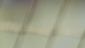 Scott Boras junto a Juan Soto.