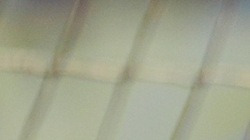 Scott Boras junto a Juan Soto.