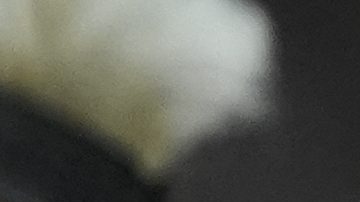 Messi presentó su nueva línea de vinos: GOAT 10