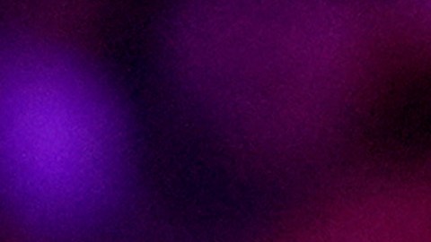 Stefanik se definió en recientes declaraciones "una de las principales defensoras y socias del presidente Trump".