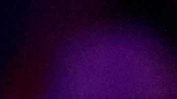 Gabbard fue miembro del Partido Demócrata e Independiente.