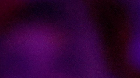 Musk ha invertido al menos $119 millones de dólares en un súper PAC que respalda a Trump.