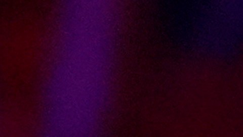 El temible giro de Musk hacia QAnon, junto con su capacidad a gastar, significa que su PAC será algo que tener en cuenta para el futuro.