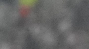 Mascota del Atlético Mineiro fue retenida por la policía de Buenos Aires