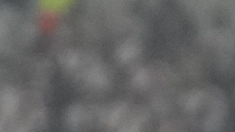Mascota del Atlético Mineiro fue retenida por la policía de Buenos Aires