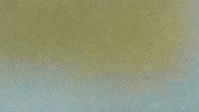 Elecciones en Pittsburgh, Pennsylvania