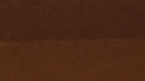 En 2020, menos de la mitad de los 13 condados pasó de Trump al actual presidente Joe Biden.