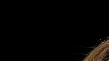 La vicepresidenta Kamala Harris y el expresidente Donald Trump ¿quién llegará a la Casa Blanca?