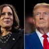 La vicepresidenta Kamala Harris y el expresidente Donald Trump ¿quién llegará a la Casa Blanca?