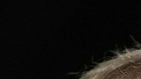 El expresidente Donald Trump y la vicepresidenta Kamala Harris.