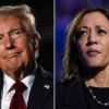 El expresidente Donald Trump y la vicepresidenta Kamala Harris.