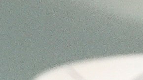 La sospresiva aparición se hizo viral en redes sociales.