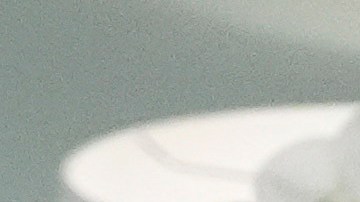 La sospresiva aparición se hizo viral en redes sociales.