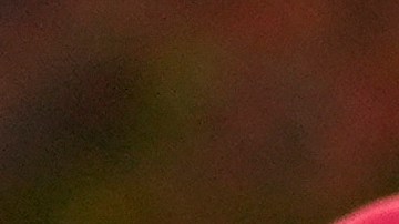 Repudio de boricuas en Pennsylvania a expresiones racistas de Tony Hinchcliffe