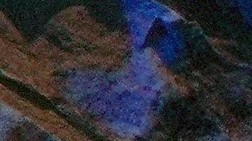 Una boricua con Kamala Harris en Reading, Pennsylvania