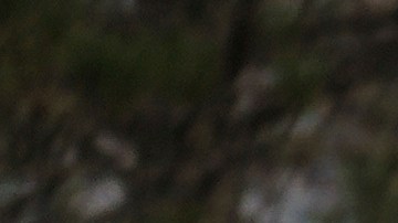 Elecciones en Scranton, Pennsylvania