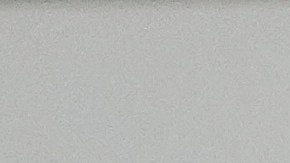 Aborto en Florida elecciones Enmienda 4