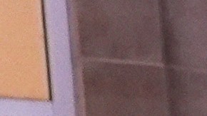 Elecciones presidenciales en Wilkes-Barre, Pennsylvania