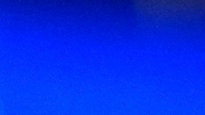 El tema más preocupante, según Jabonero sería que "alguien dudara de que la victoria" de Trump "es legítima".